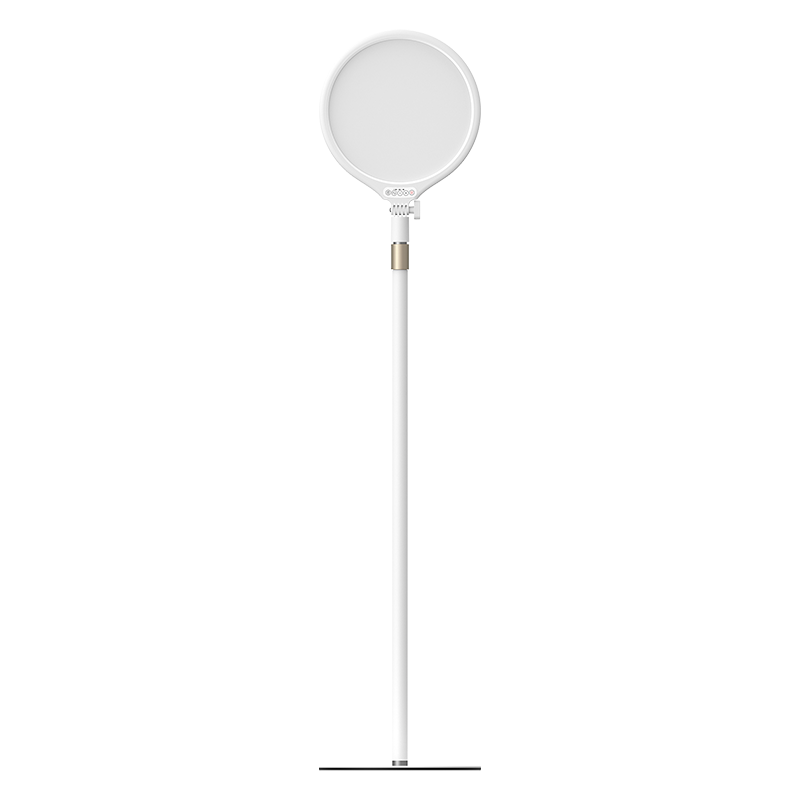 154cm Multi-mode Adjustable 6000K Color Temperature Floor Stand Beauty Fill Light
